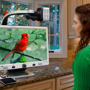 Woman using DaVinci looking at a red cardinal bird on screen